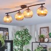 Koyoto ceiling light, globe light Amber, 4-light sources