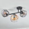 Ripoll ceiling light, globe light Amber, clear, Smoke-coloured, 3-light sources