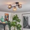 Ripoll ceiling light, globe light Amber, clear, Smoke-coloured, 3-light sources