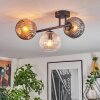 Ripoll ceiling light, globe light Amber, clear, Smoke-coloured, 3-light sources