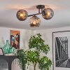 Ripoll ceiling light, globe light Smoke-coloured, 3-light sources