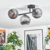 Ripoll ceiling light, globe light Smoke-coloured, 3-light sources