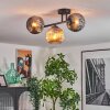 Ripoll ceiling light, globe light Amber, Smoke-coloured, 3-light sources