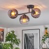 Koyoto ceiling light, globe light clear, Smoke-coloured, 3-light sources