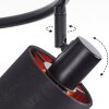 Fallhagen ceiling light, ceiling spotlight black, 3-light sources