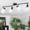 Fallhagen ceiling light, ceiling spotlight black, 4-light sources