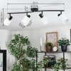 Fallhagen ceiling light, ceiling spotlight black, 4-light sources