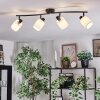Fallhagen ceiling light, ceiling spotlight black, 4-light sources