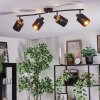 Fallhagen ceiling light, ceiling spotlight black, 4-light sources