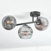 Ripoll ceiling light, globe light chrome, clear, Smoke-coloured, 3-light sources