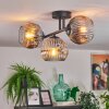 Ripoll ceiling light, globe light chrome, clear, Smoke-coloured, 3-light sources