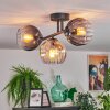 Koyoto ceiling light, globe light Amber, clear, Smoke-coloured, 3-light sources