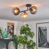 Koyoto ceiling light, globe light Amber, clear, Smoke-coloured, 3-light sources
