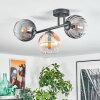 Koyoto ceiling light, globe light Amber, clear, Smoke-coloured, 3-light sources