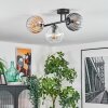 Koyoto ceiling light, globe light Amber, clear, Smoke-coloured, 3-light sources