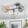 Koyoto ceiling light, globe light Amber, clear, Smoke-coloured, 3-light sources