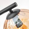 Koyoto ceiling light, globe light Amber, clear, Smoke-coloured, 3-light sources