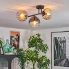Koyoto ceiling light, globe light Amber, clear, Smoke-coloured, 3-light sources