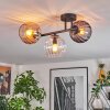 Koyoto ceiling light, globe light Amber, clear, Smoke-coloured, 3-light sources