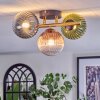 Chehalis ceiling light, globe light gold, black, 3-light sources