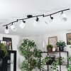 Fallhagen ceiling light, ceiling spotlight black, 6-light sources