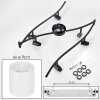 Fallhagen ceiling light, ceiling spotlight black, 6-light sources