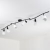 Fallhagen ceiling light, ceiling spotlight black, 6-light sources