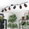 Fallhagen ceiling light, ceiling spotlight black, 6-light sources