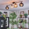 Koyoto ceiling light, globe light Amber, clear, Smoke-coloured, 4-light sources
