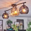 Koyoto ceiling light, globe light Amber, clear, Smoke-coloured, 4-light sources