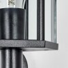 Monfanim outdoor wall light, wall light black, 1-light source