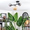 Chehalis ceiling light, globe light Amber, Smoke-coloured, 3-light sources