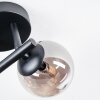 Chehalis ceiling light, globe light Amber, Smoke-coloured, 3-light sources