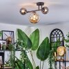 Chehalis ceiling light, globe light Amber, Smoke-coloured, 3-light sources