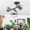 Chehalis ceiling light, globe light clear, Smoke-coloured, 3-light sources