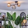 Chehalis ceiling light, globe light Amber, clear, Smoke-coloured, 3-light sources