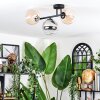 Chehalis ceiling light, globe light Amber, clear, Smoke-coloured, 3-light sources