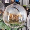 Koyoto hanging light, globe light, pendant light Amber, clear, Smoke-coloured, 4-light sources