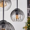 Koyoto hanging light, globe light, pendant light clear, Smoke-coloured, 4-light sources