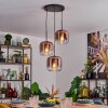Lauden hanging light, pendant light clear, coppery, 3-light sources