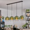 Koyoto hanging light, globe light, pendant light green, clear, 4-light sources