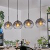 Koyoto hanging light, globe light, pendant light clear, Smoke-coloured, 4-light sources