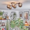 Chehalis ceiling light, globe light chrome, Smoke-coloured, 5-light sources