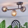 Chehalis ceiling light, globe light Amber, Smoke-coloured, 3-light sources
