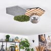 Minor ceiling light, globe light green, Wood like finish, black, 1-light source