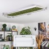 Dorel ceiling light LED green, silver, white, 1-light source