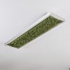 Dorel ceiling light LED green, silver, white, 1-light source