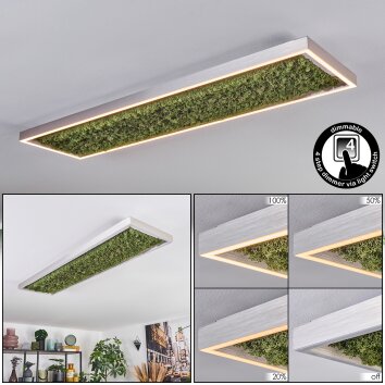 Dorel ceiling light LED green, silver, white, 1-light source