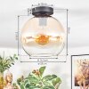 Koyoto ceiling light, globe light Amber, clear, 1-light source
