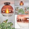 Koyoto ceiling light, globe light clear, coppery, 1-light source